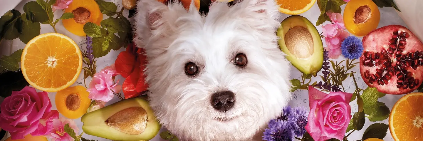 Beaphar BIO shampoos en verzorgingsproducten