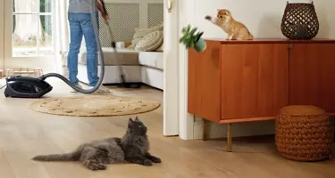 beaphar catcomfort voor stressvolle situaties gedragsproblemen katten
