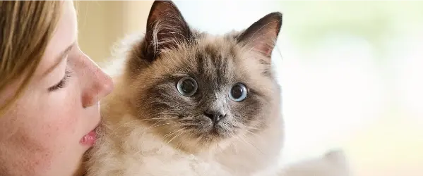 Werken bij Beaphar Huisdieren